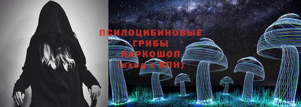 apvp Алексин