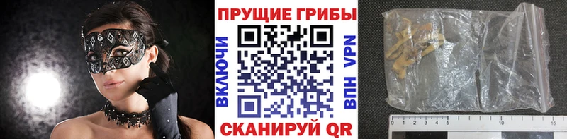 Псилоцибиновые грибы GOLDEN TEACHER  Солигалич 