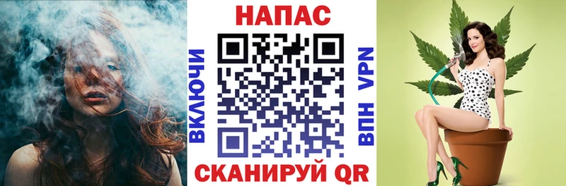 Канабис сатива  Солигалич 
